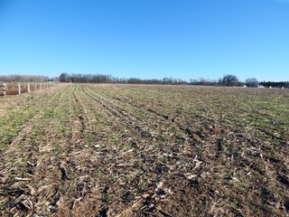 Property photo 22 - REAL ESTATE AUCTION - 100+/- ACRES IN 5 TRACTS IN NOBLE COUNTY, INDIANA